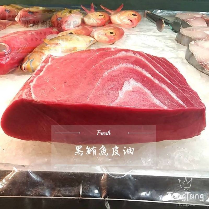 小鮮肉海產 東港野生頂級黑鮪魚腹肉 黑鮪魚生魚片 三角腹肉 上腹肉 中腹肉 尾腹肉 肉頭 皮油 大肉 滿3800免運
