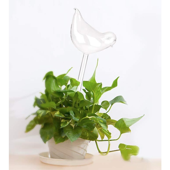 植物自動給水器 Ptt Dcard討論與高評價網拍商品 21年11月 飛比價格