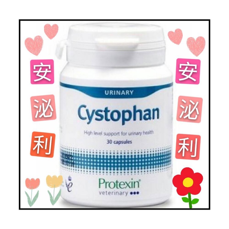 🎀安泌利🎀寵特寶Cystophan 30粒