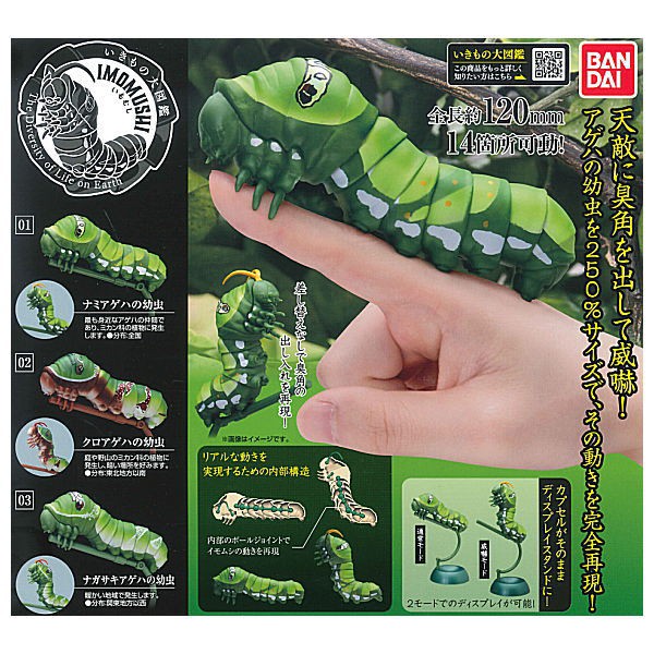扭不庭 現貨 轉蛋bandai 毛毛蟲環保扭蛋整套販售 一套全3種 蝦皮購物