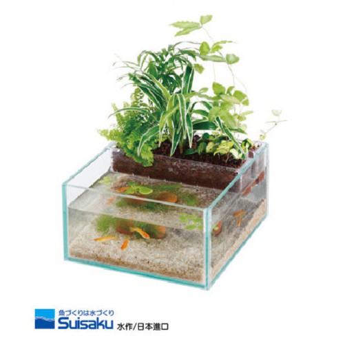 SUISAKU水作 魚草生態缸 2代 魚缸造景 魚菜共生 套缸 直接養魚 日本製造 透明美觀