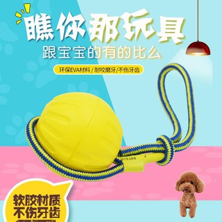 馬犬 優惠推薦 21年4月 蝦皮購物台灣