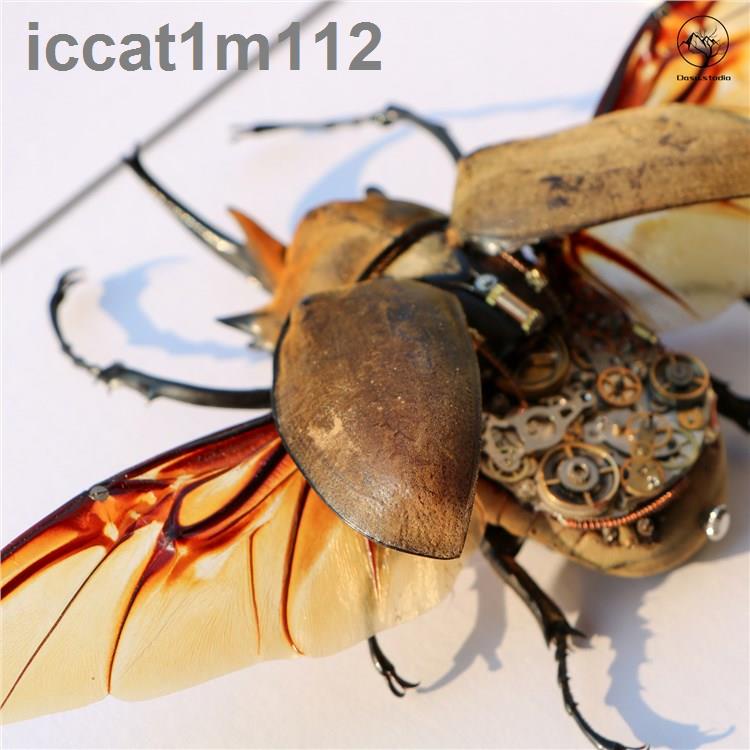 毛象大兜標本的價格推薦 21年11月 比價比個夠biggo