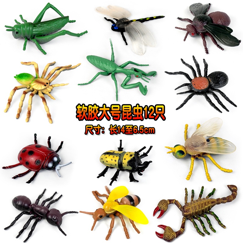 萬物園✨仿真大號昆蟲蜘蛛甲蟲蜜蜂蠍子模型玩具塑膠兒童科教標本認知禮物