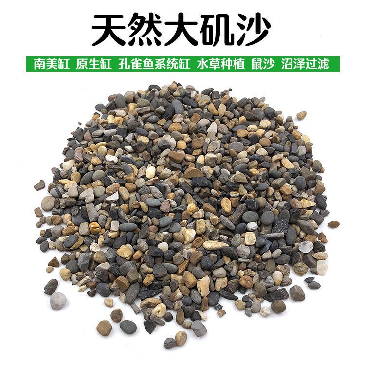 大磯沙 Ptt Dcard討論與高評價網拍商品 21年10月 飛比價格