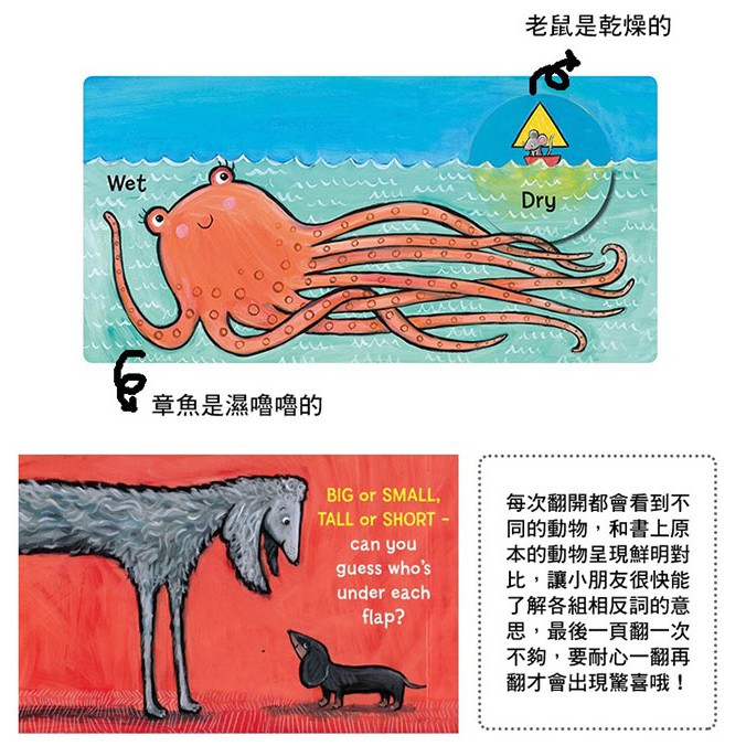 Opposites A Lift The Flap Book 相反詞 翻翻書 外文書 蝦皮購物