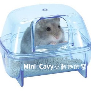 Mini Cavy♥ 日本Wild / Sanko P01 鼠鼠沐浴砂屋 便盆 浴盆