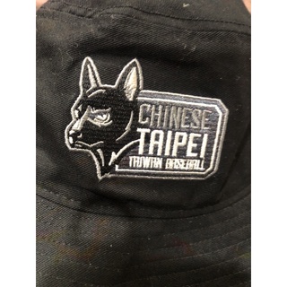 台灣犬 優惠推薦 22年11月 蝦皮購物台灣