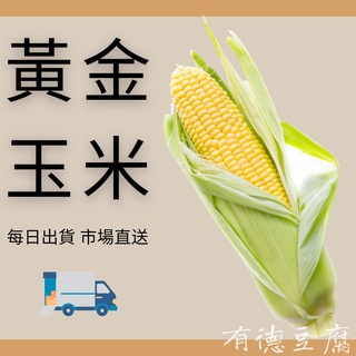 《有德豆腐》超甜 台灣黃金玉米 黃玉米 200~300g 生鮮 香甜