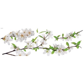 義大利進口HOME DECOR 牆壁貼飾 35cmX100cm 白梅花(C58113)