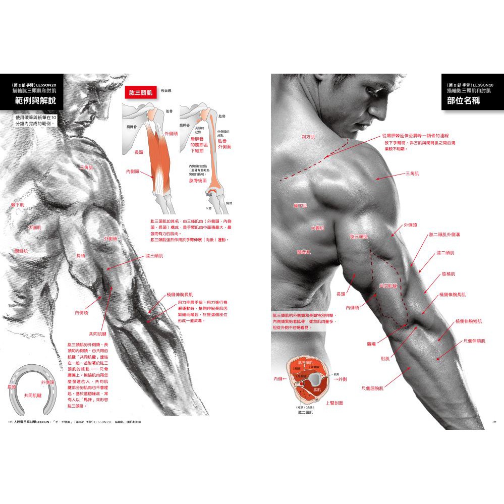飛買book 楓書坊 人體藝用解剖學 手 手臂篇 蝦皮購物