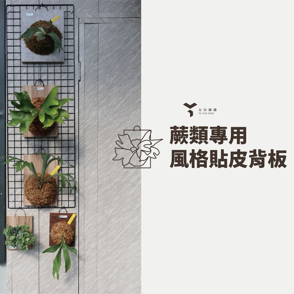台南友田角鋼 蕨類專用背板木芯板裁切diy 木工蕨類鹿角蕨貼皮防水 蝦皮購物