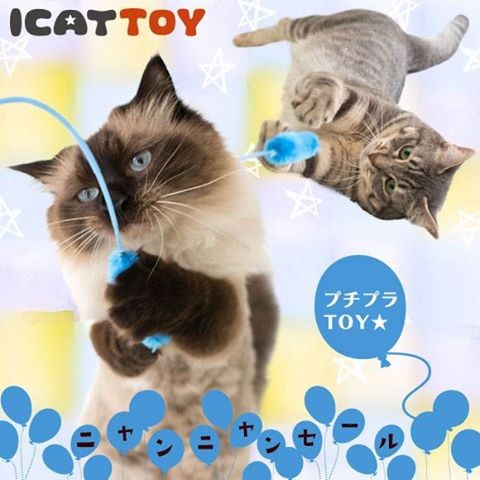 【時尚貓】 日本 icat 狗尾草逗貓棒