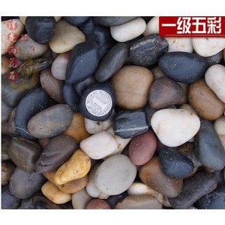 鋪路小石子鵝卵石雨花石石頭小石子鋪路小石子大鵝卵石石頭鵝軟石白鵝暖石庭院多肉鋪面園林石雨花石rita 蝦皮購物