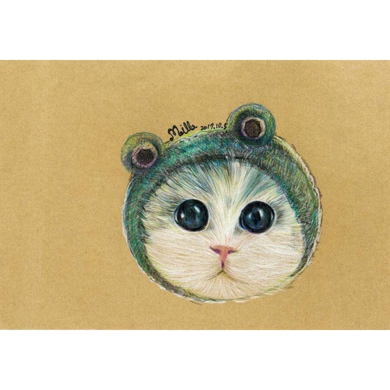 小型動物水性色鉛筆畫 附光碟 蝦皮購物