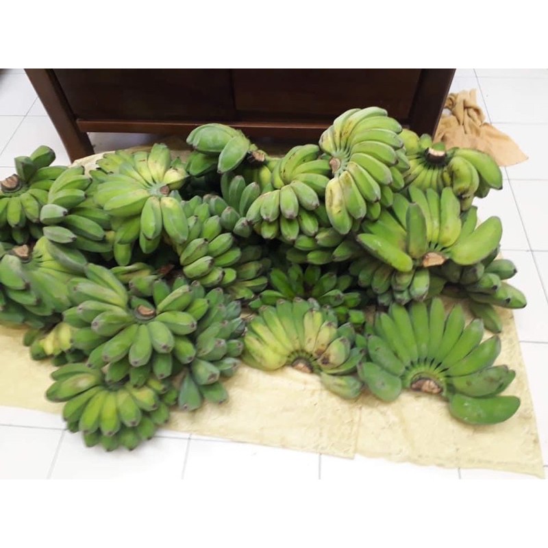 Saging na Saba