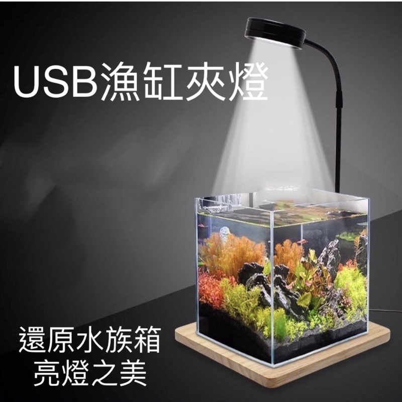 開立雲端發票 台灣24小時發貨 魚缸燈led照明燈水族箱造景燈節能usb小型夾燈超亮水草燈 蝦皮購物