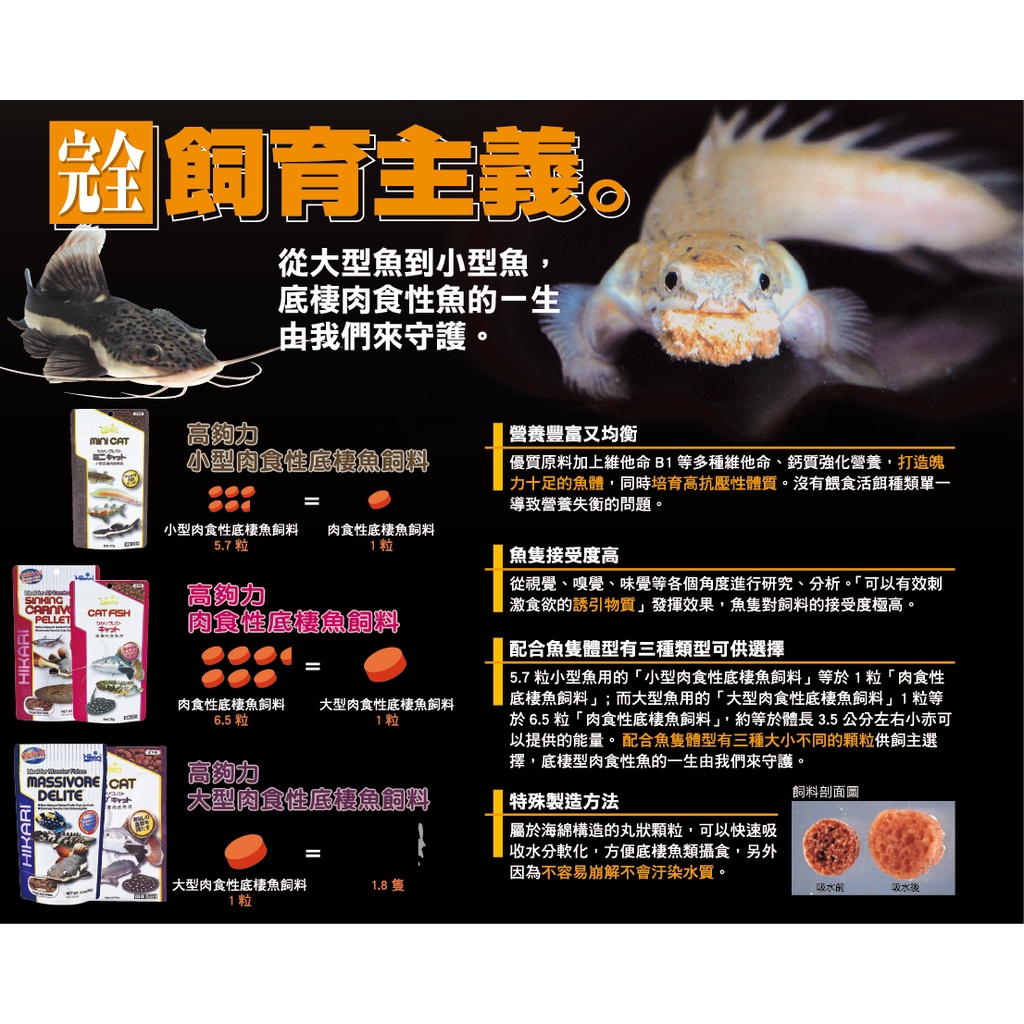 Hikari高夠力 肉食性底棲魚飼料74g 下單請先詢問是否有現貨 魚之歡 蝦皮購物