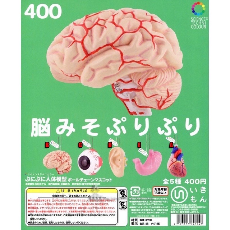 全新 IKIMON 人體解剖模型 人體模型 大腦解剖 搞怪 眼球 扭蛋 二手 獵奇 醫學 內臟器官 可愛 醫學 護理