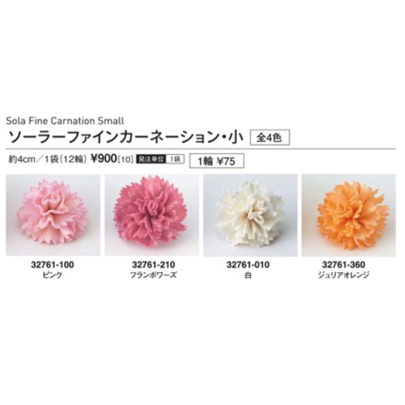 Zakka Flower 日本進口單色索拉花康乃馨現貨全 蝦皮購物