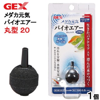 小郭水族-日本 GEX 五味【圓型 益菌新增 氣泡石 (S) 20型】納豆菌 益菌 稻田魚 增加溶氧 培菌 分解髒汙