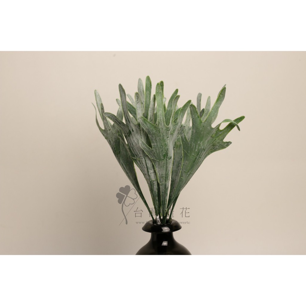 植物 鹿角草 人造花 擺飾 綠葉 植物 道具 拍攝 攝影 假花 園藝 台灣造花 蝦皮購物