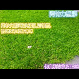 模擬草皮 娃娃機草皮 景觀草皮 娃娃機佈置 機車草皮 野餐墊 塑膠草皮 人工草皮 牆面草 拍照背景 假草