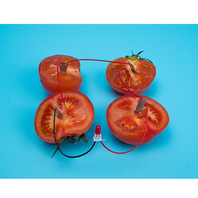 小荳荳 自然科學教具 DIY水果電池