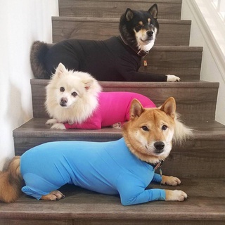 “彈彈彈”中大犬全包彈力四腳衣服 寵物打底衣服 新款春夏秋冬狗狗衣服 四腳衣服寵物服貓咪超彈力薄衣服