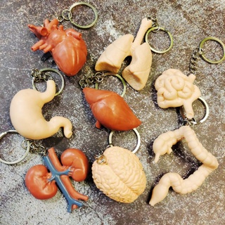 獵奇 器官吊飾 人體 解剖 器官 心臟 大腦 肝 造型 吊飾 鑰匙圈 玩具