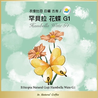 陽光夏 濾掛式咖啡 (淺烘焙)/ 衣索比亞 日曬古吉 花蝶 G1