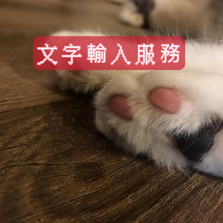 資料輸入服務 文字輸入 代客打字 逐字稿