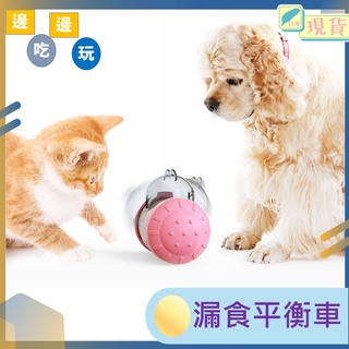 寵物玩具 貓咪玩具 漏食玩具 狗狗玩具 狗玩具 不倒翁玩具 訓練玩具 可搖擺漏食 平衡車 小熊 漏食平衡車 現貨