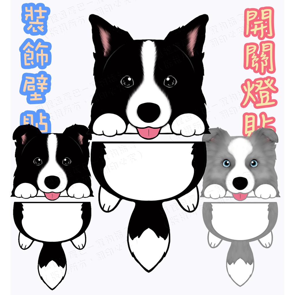 現貨邊境牧羊犬開關燈貼 裝飾牆貼 邊境出沒貼紙 立耳 摺耳 大理石 防水防曬 蝦皮購物