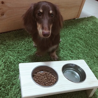 🐶原木寵物碗架