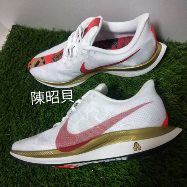 cny pegasus turbo