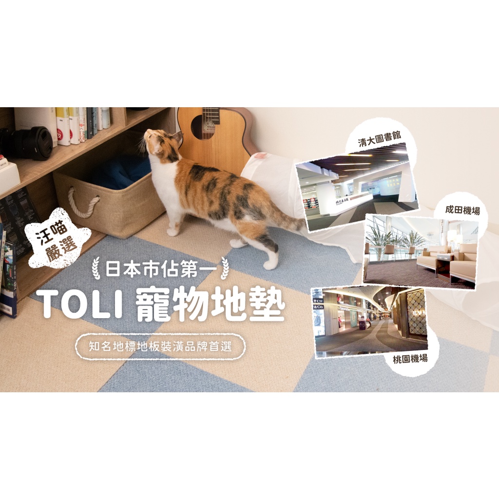 【阿肥寵物生活】日本 TOLI 寵物防滑地墊｜AK350 圈毛止滑系列