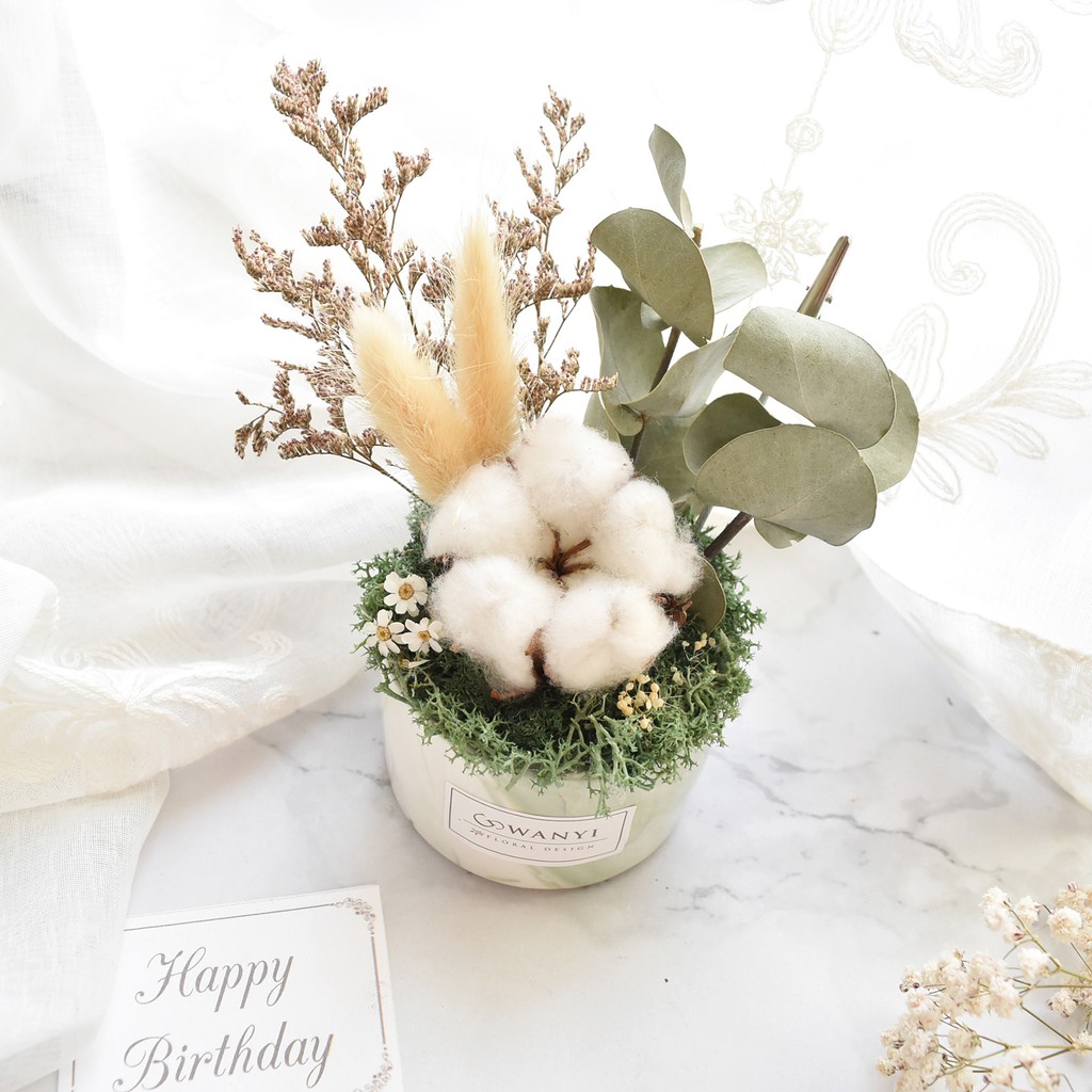Wanyi 春日棉花盆花乾燥花 質感 辦公桌擺飾 送禮 婚禮小物 情人節 禮物 畢業禮物 蝦皮購物
