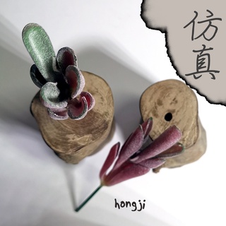 多肉 模擬多肉 微景觀 P24 假多肉植物 辦公室小物 療癒紓壓生日禮物拍照居家裝飾咖啡屋商店擺飾迷你木頭底座盆栽