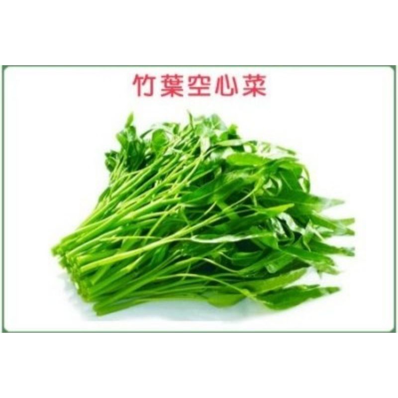 #空心菜種子#「青骨」竹葉空心菜#蕹菜#約40g，25元，一斤600克160元。
