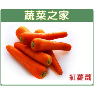 【蔬菜之家滿額免運】大包裝C01.紅蘿蔔(胡蘿蔔)種子80克(約45000顆)(有藥劑處理)