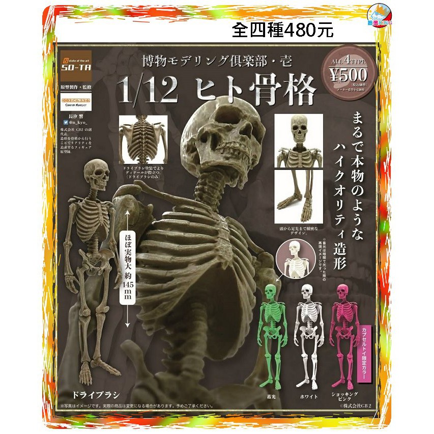 1 12 骨骼 Ptt Dcard討論與高評價網拍商品 21年11月 飛比價格