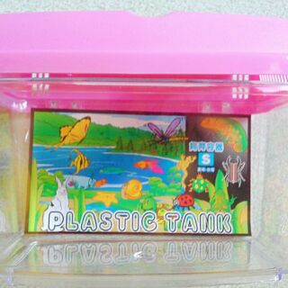 海灣 掀蓋寵物箱 昆蟲盒 三色任選 飼育箱 水族箱 養魚/烏龜/甲蟲 魚缸 寵物盒 現貨☆柑丫店☆
