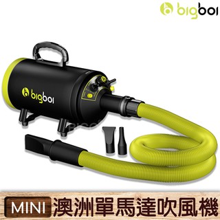 澳洲 Bigboi 單馬達 MINI 雙馬達 MINI PLUS 吹毛機 寵物吹風機 寵物吹水機 寵物洗澡 美容