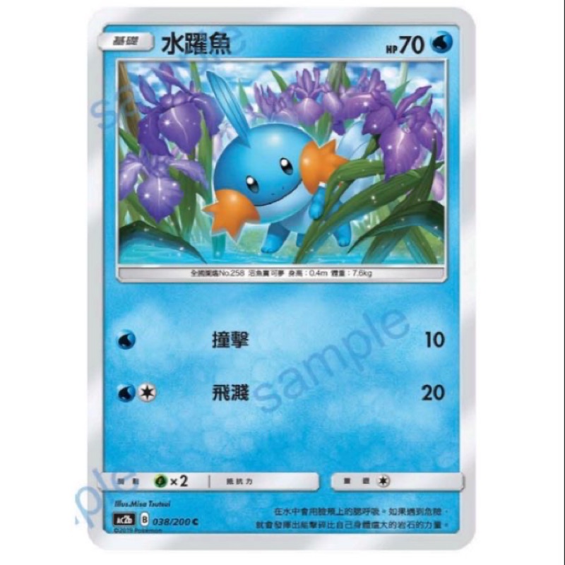 寶可夢 PTCG 中文版 水躍魚 HP70