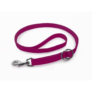PETRICK Basic Leash 派翠克 經典款二用牽繩 XS號/A區色系