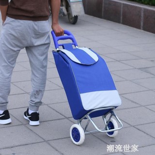 👍臺灣公司＋發票👍爬樓購物車買菜車小拉車行李手拉車家用便攜折疊拖車拉桿小推車
