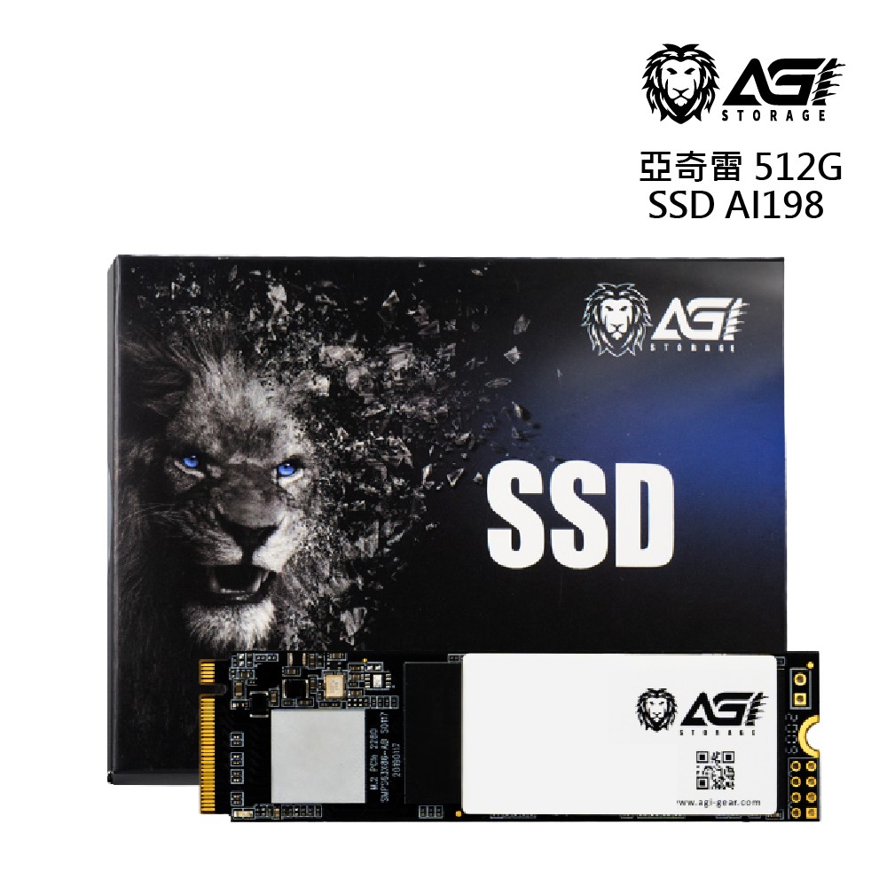 AGI亞奇雷 AI198系列 512GB PCIe SSD 固態硬碟 廠商直送