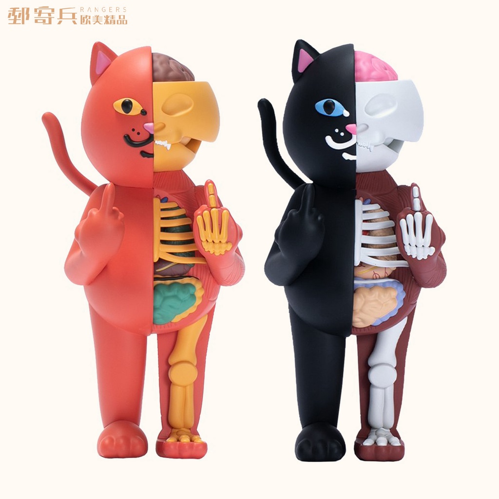 郵寄兵．現貨   RIPNDIP RND 中指貓半解剖公仔 Vinyl Figure RND4609