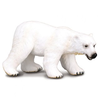 COLLECTA動物模型 - 北極熊